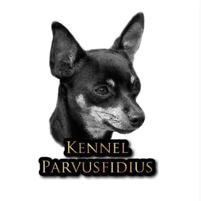 Parvus Fidius cover