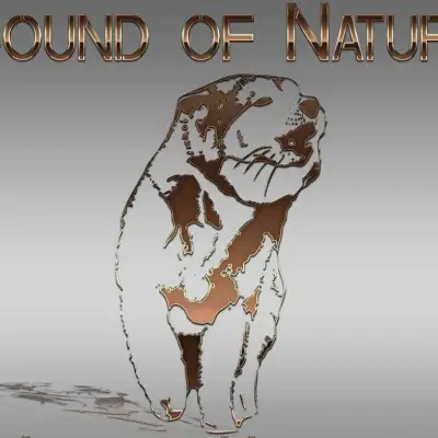 Sound of Nature cover