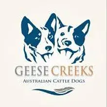 Geese Creek’s cover