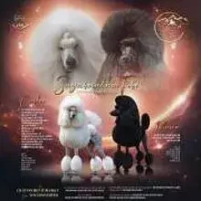 Sagarmatha Fire cover