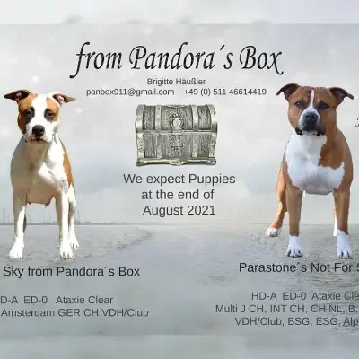 from Pandora’s Box cover