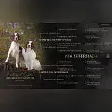 vom Seffersbach cover
