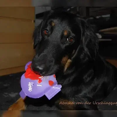 von der Urschlagquelle cover