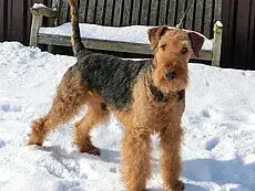 Dr.'s Unplugged cover