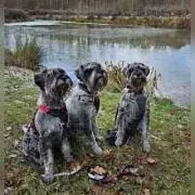 von den Kalkseehexen cover