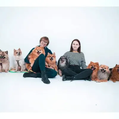 von den Drei Hohen Birken cover