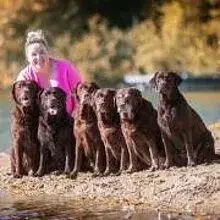 Bysterstorff’s cover