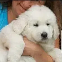 Osikowe Zacisze cover