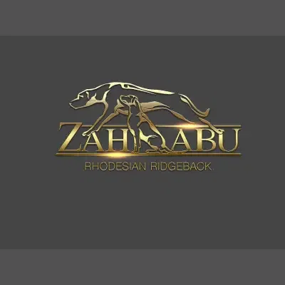 Zahabu cover