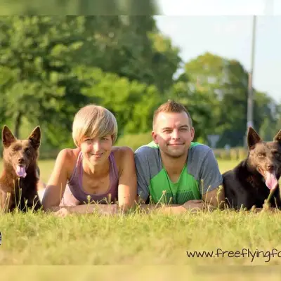 of Free Flying Foxes cover
