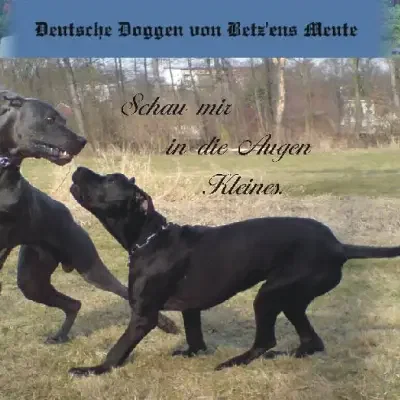 von Betz’ens Meute cover