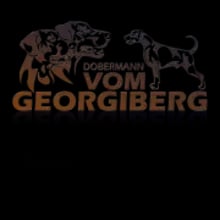 vom Georgiberg cover
