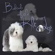 of the Klit-Ly’s cover