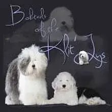 of the Klit-Ly’s cover