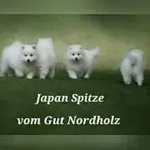 vom Gut Nordholz cover