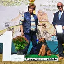 von der Nachtweide cover