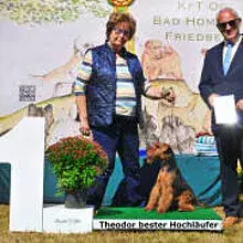 von der Nachtweide cover