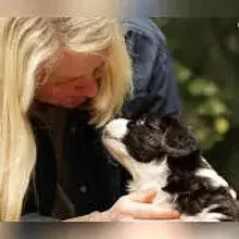 from the Wonderful Oz cover