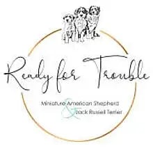 Ready for Trouble cover