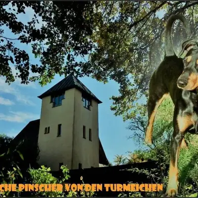 von den Turmeichen cover