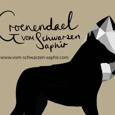 Vom Schwarzen Saphir cover