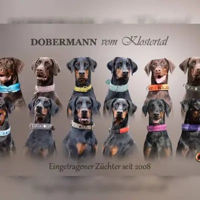 vom Klostertal cover