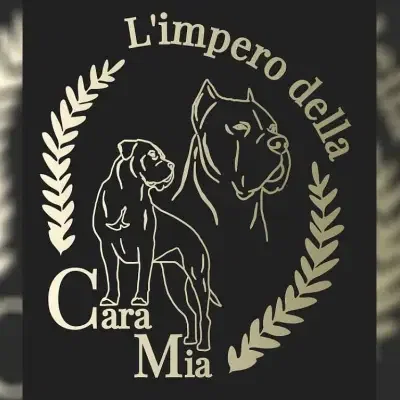 L’impero della Cara Mia cover