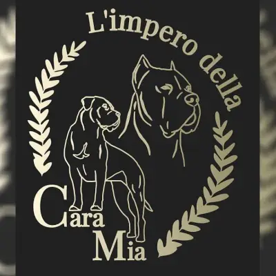 L’impero della Cara Mia cover