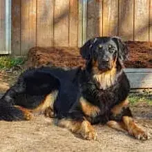 von der Pallaswiese cover