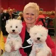 of White Avalanche cover