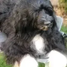 Secret Soulmates cover