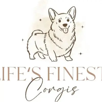Life’s finest cover