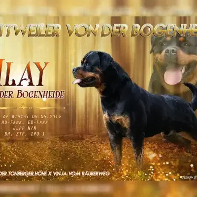 von der Bogenheide cover