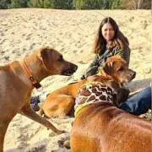 Timber Creek’s cover