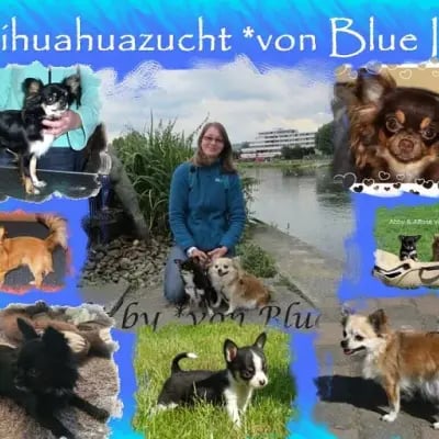 von Blue Ice cover