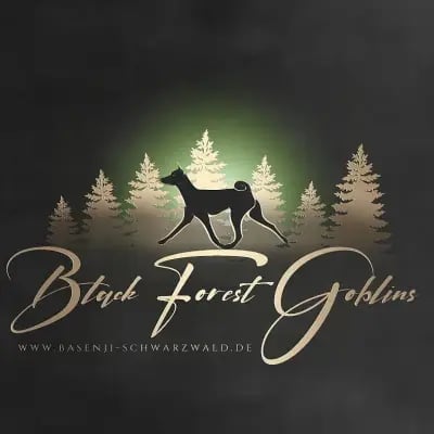 Black Forest goblins cover