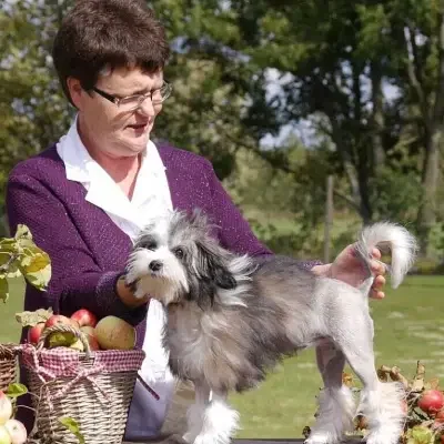 vom Grundbachtal cover