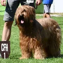 von der roten Hex' cover