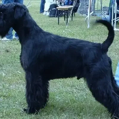 von der Thelersäule cover