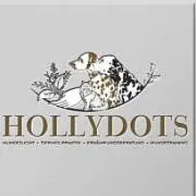 von HollyDots cover