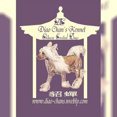 Diao Chans cover