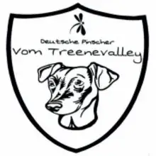 vom Treenevalley cover