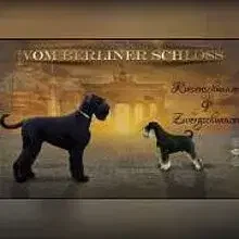 vom Berliner Schloß cover