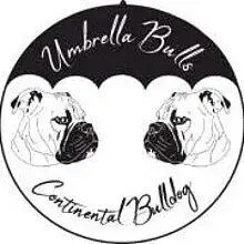 UmbrellaBulls cover