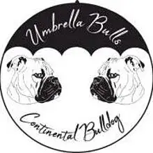UmbrellaBulls cover