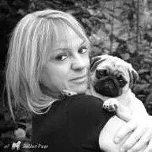 of Golden Pugs cover