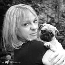 of Golden Pugs cover