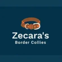 Zecara’s cover