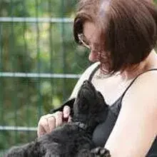 of Conventgarden cover