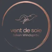 du Vent de Soie cover